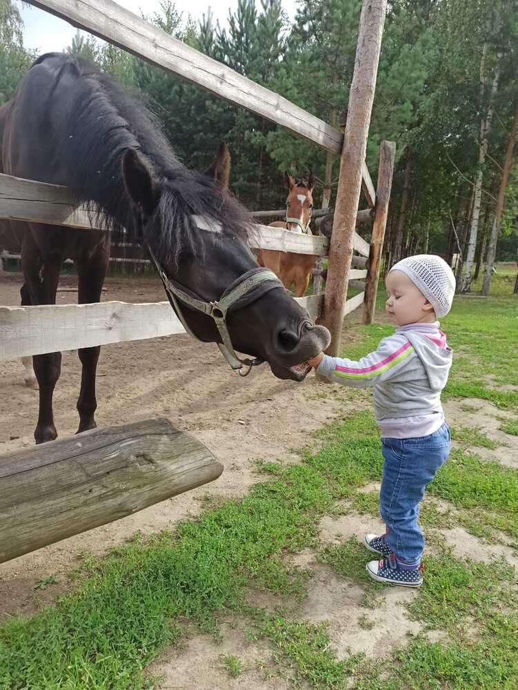 Фотография автора Кристина Киселёва