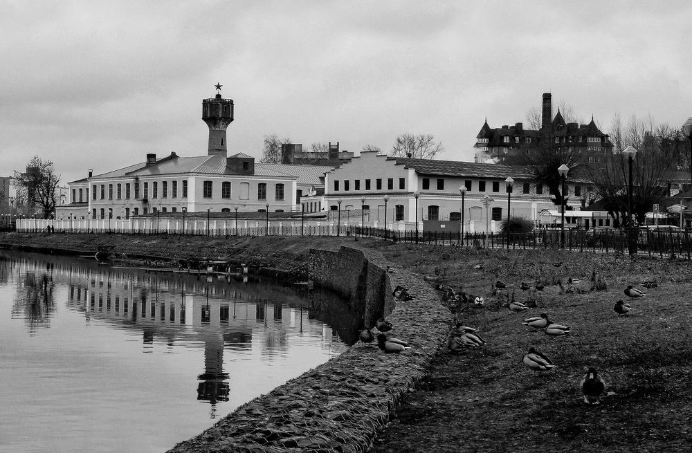 Фотография автора Е лена Е