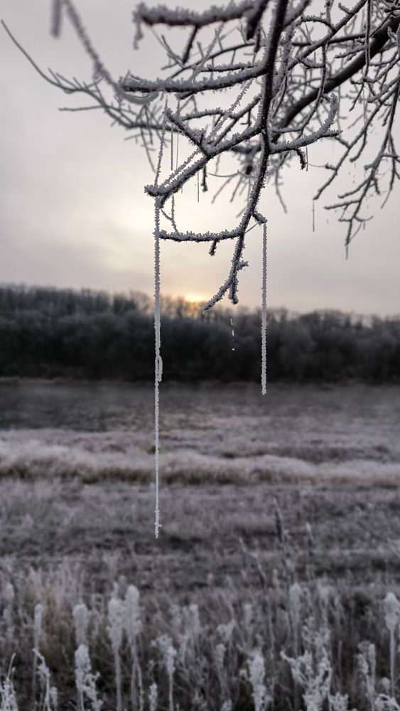 Морозное утро.