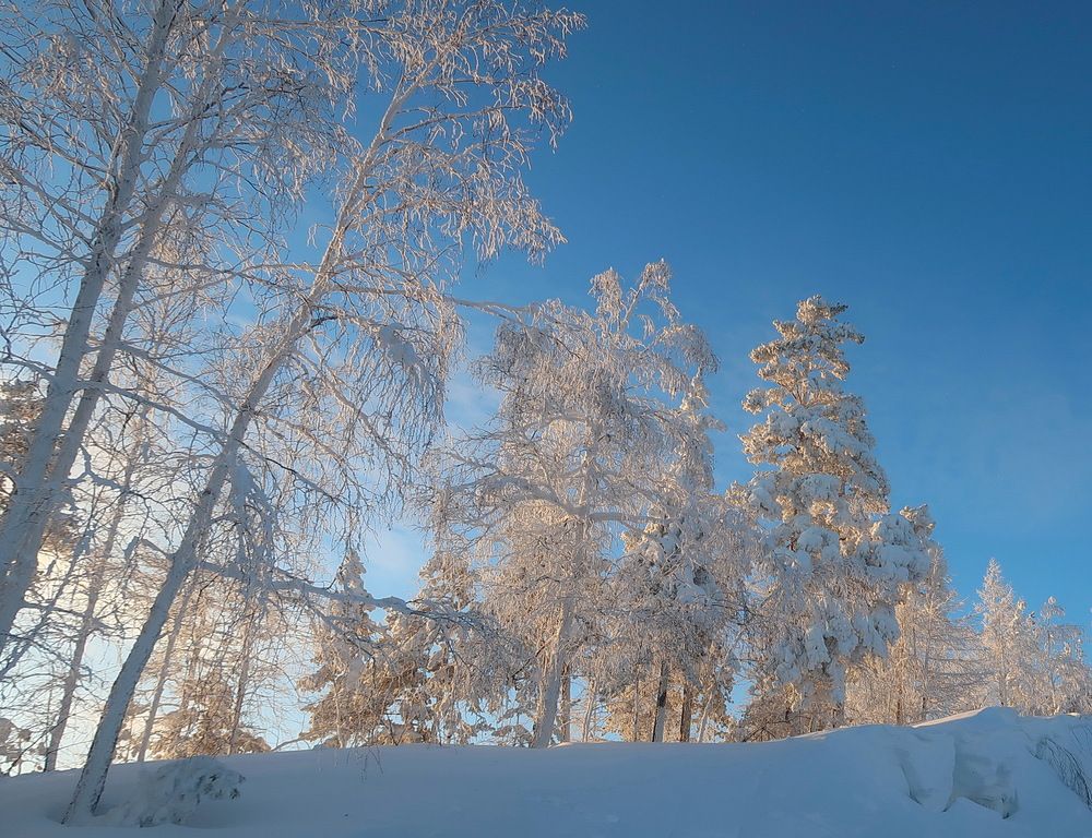 Мороз и солнце!