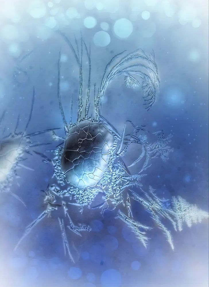 Photograph by Дина Чаица