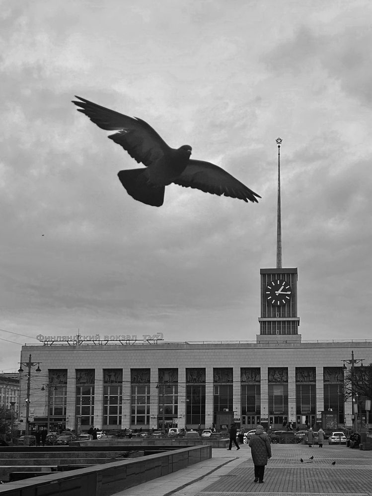 Photograph by Анна Столбова