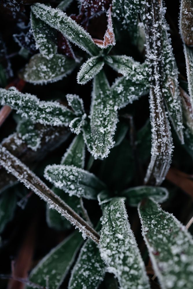 Фотография автора Ирина Романовская