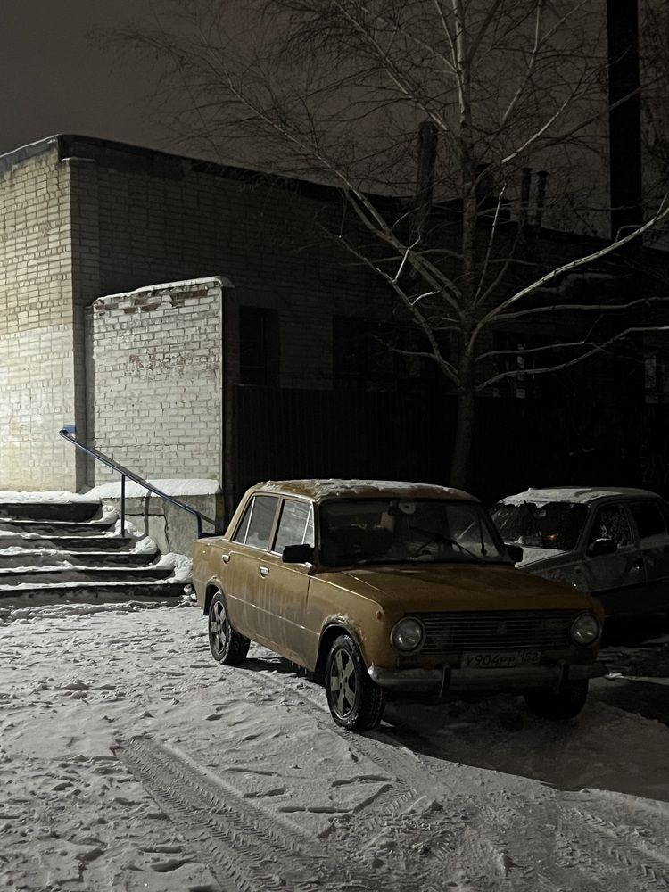 Раритет под снегом