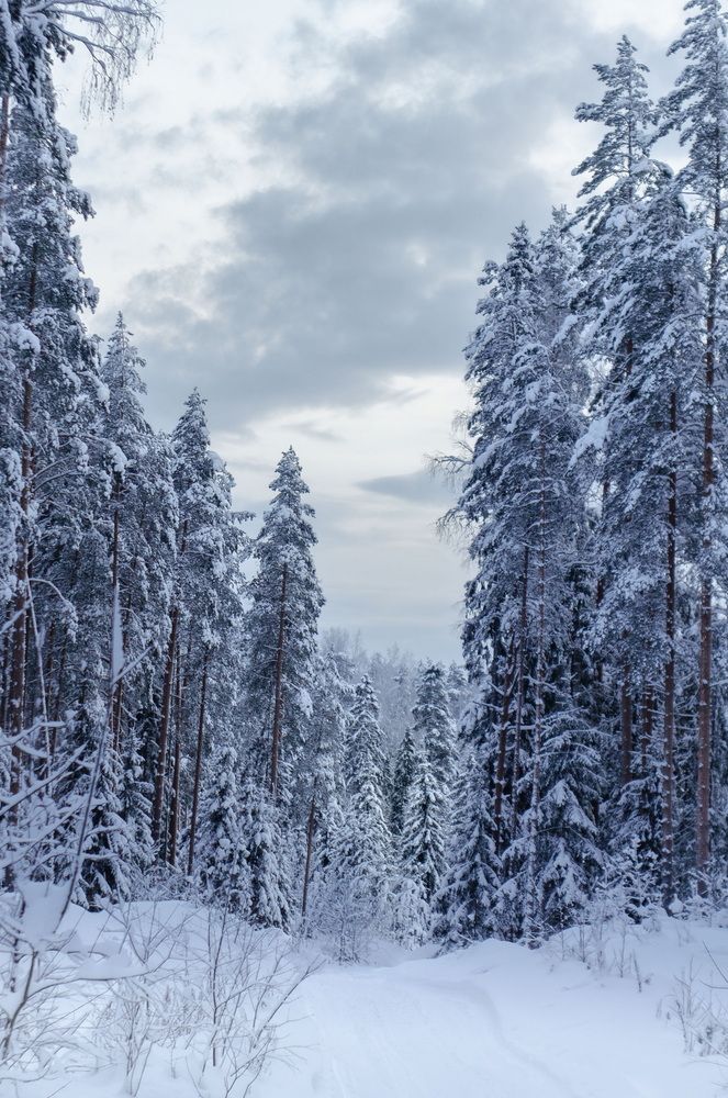 Photograph by Андреев Роман