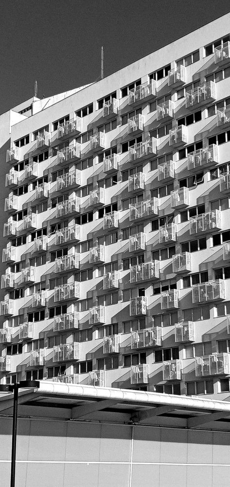 Photograph by Maria da Conceição Queiroz