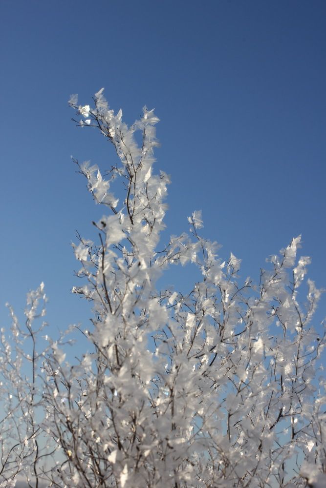 Photograph by Виктор Комиссаров