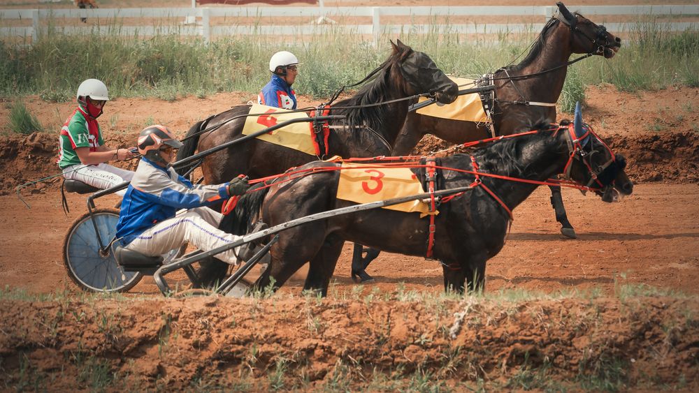 Photograph by Тамара Вотинцева