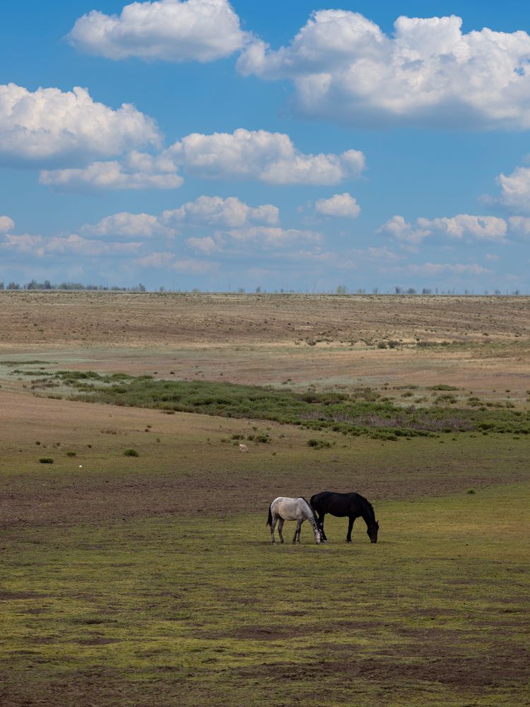 Фотография автора Rom@shkin