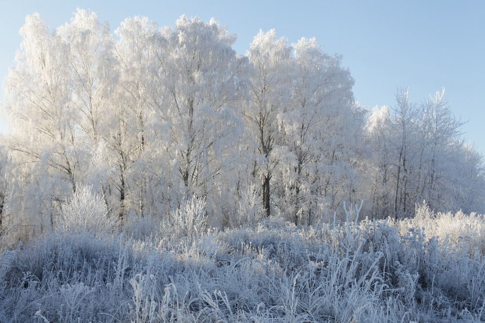 Photograph by Виктор Комиссаров