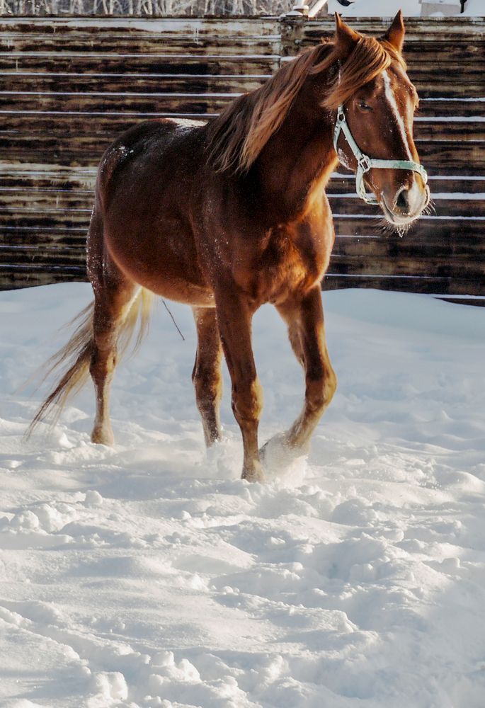 Photograph by Баженова Наталья