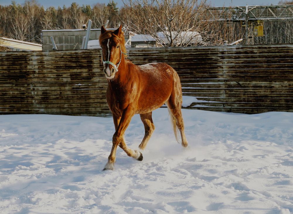 Photograph by Баженова Наталья