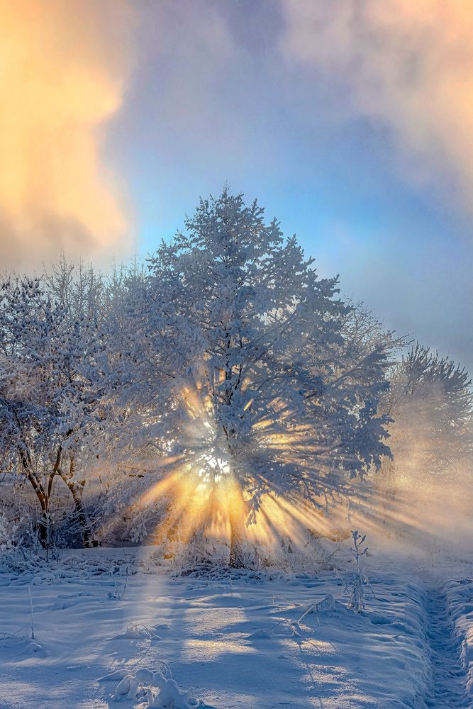 Фотография автора Rom@shkin