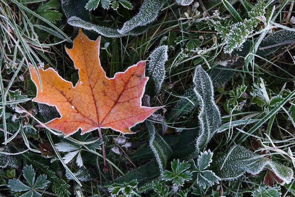 Photograph by jelena konickaja