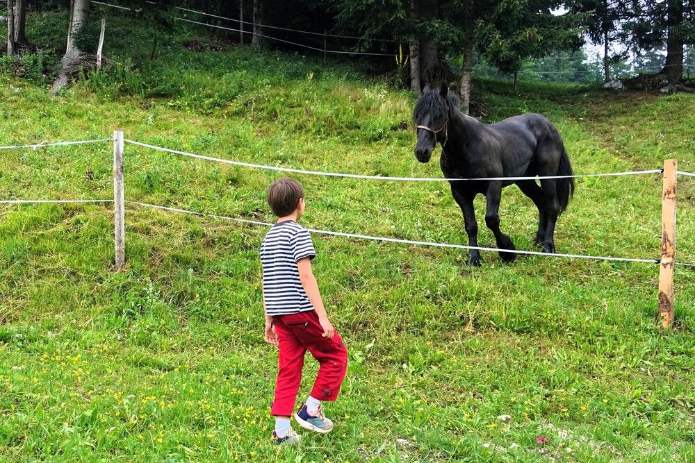 Photograph by jelena konickaja