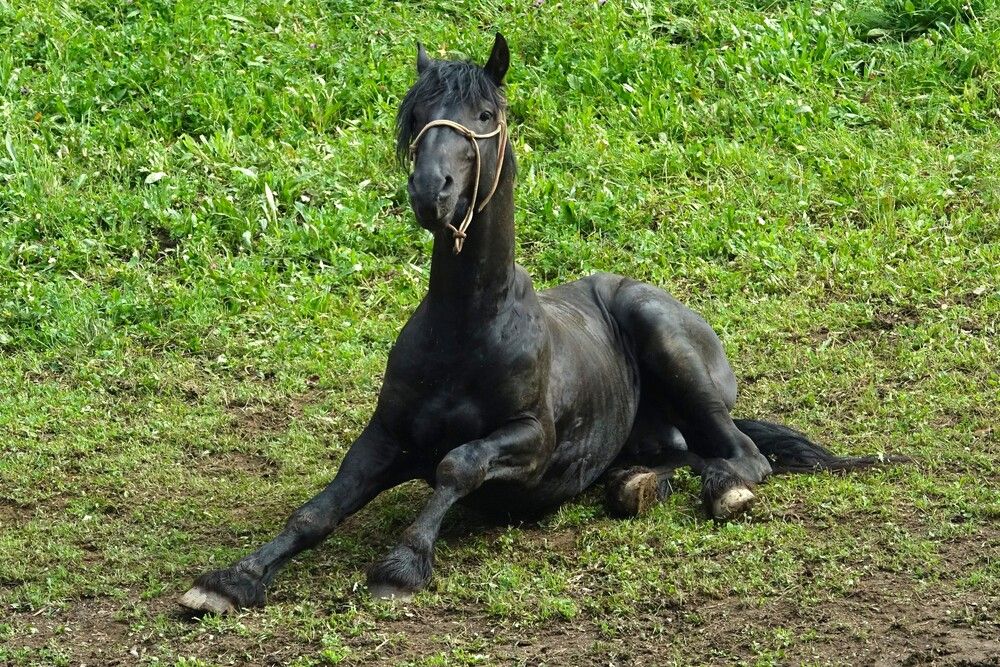 Photograph by jelena konickaja