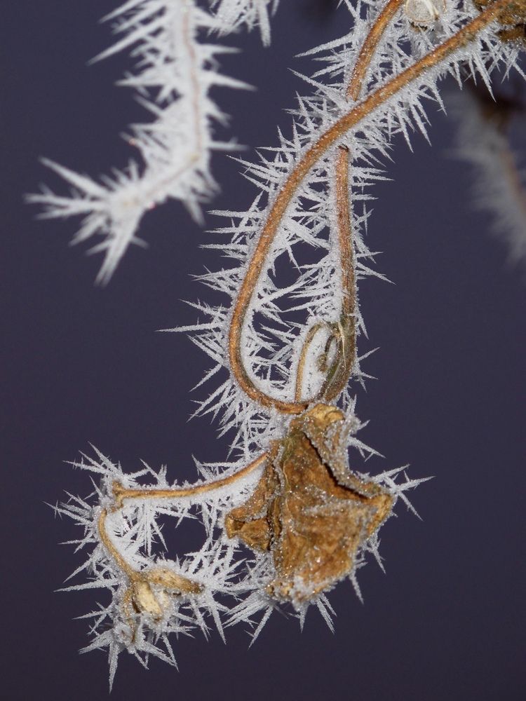 Photograph by Ульяна Кузьмина