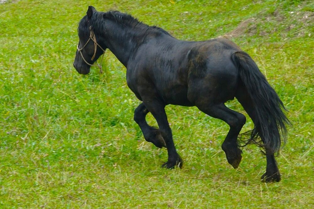 Photograph by jelena konickaja