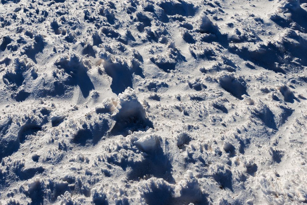 Photograph by Tigran Simonyan