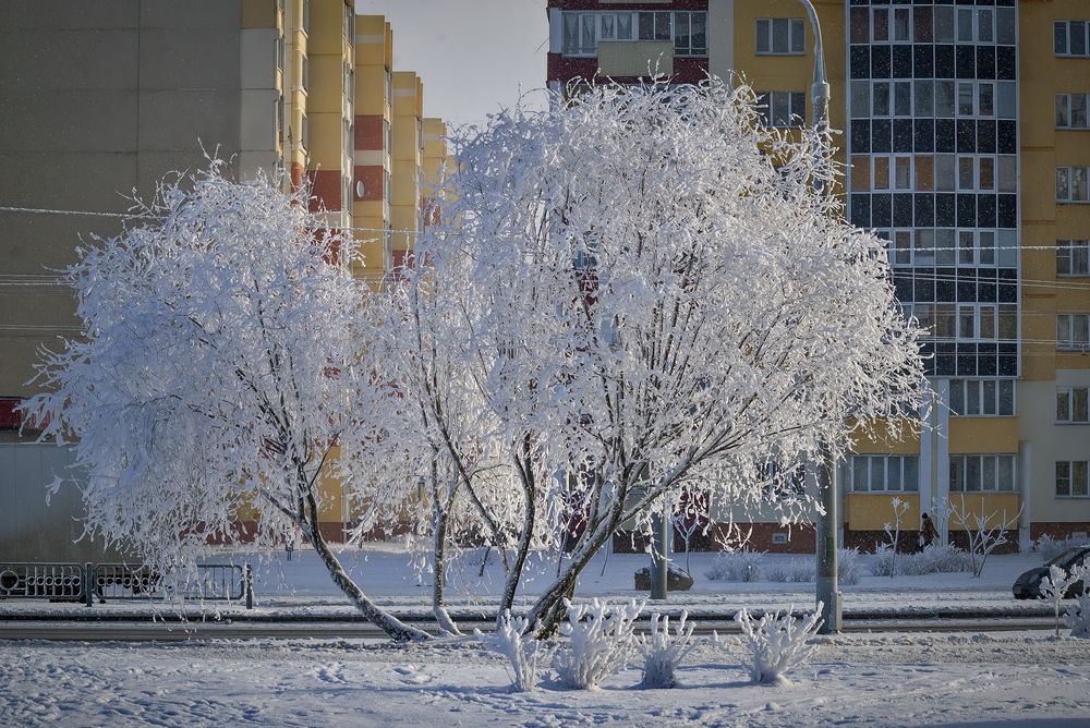 Украшения зимы