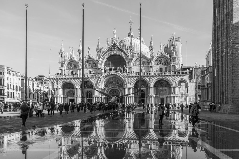 Photograph by Вера