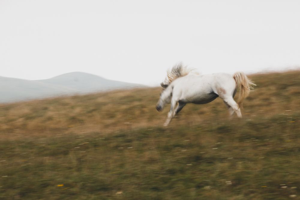 Photograph by Tigran Simonyan