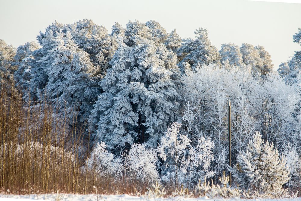 Photograph by Дмитрий Пасынков