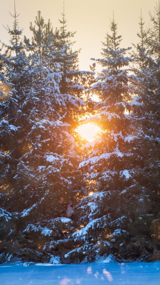 Photograph by Тамара Вотинцева