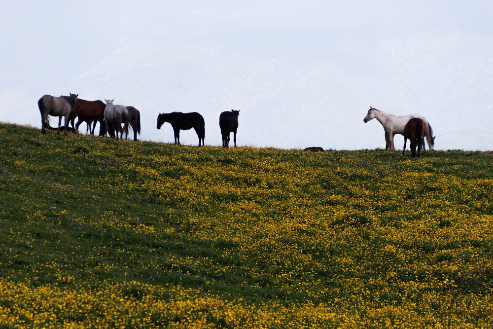 Photograph by Tigran Simonyan
