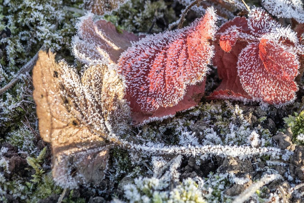 Photograph by Александр Новиков