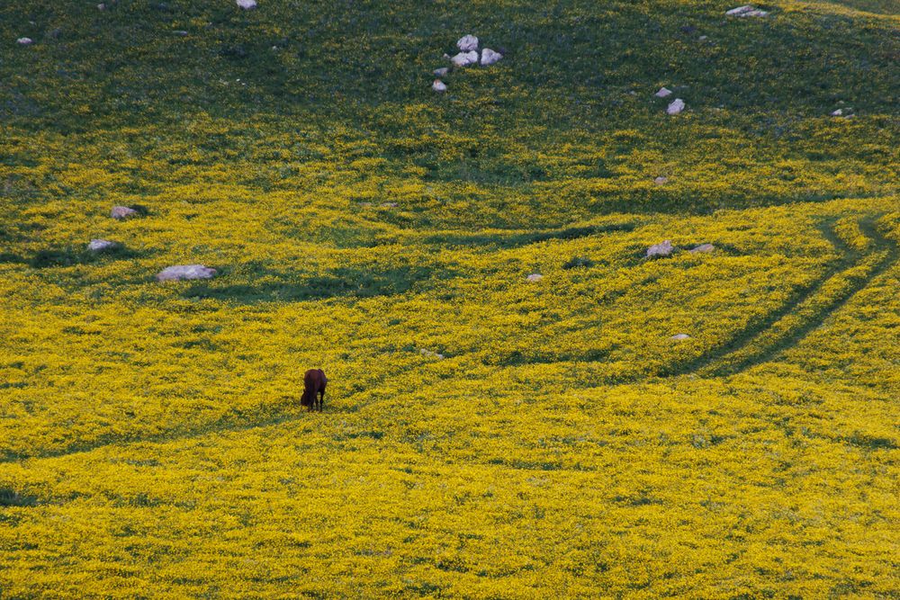 Photograph by Tigran Simonyan