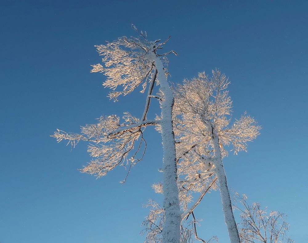 Photograph by Нина