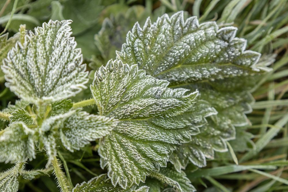 Photograph by Александр Новиков