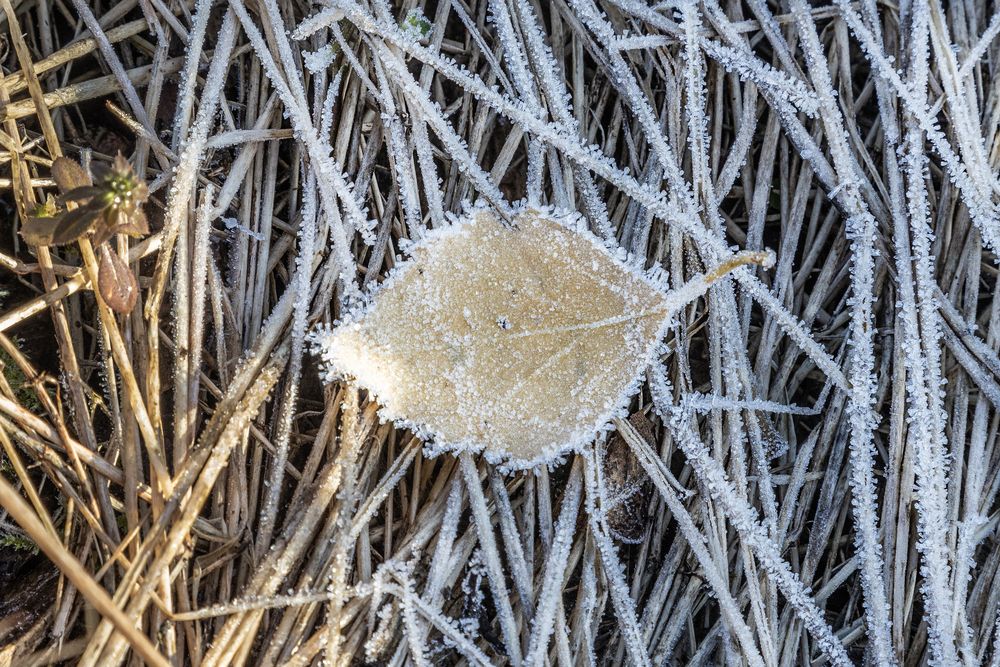 Photograph by Александр Новиков