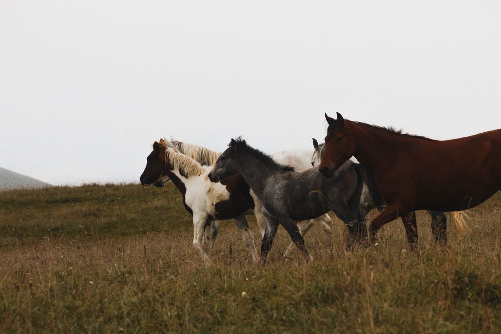 Photograph by Tigran Simonyan