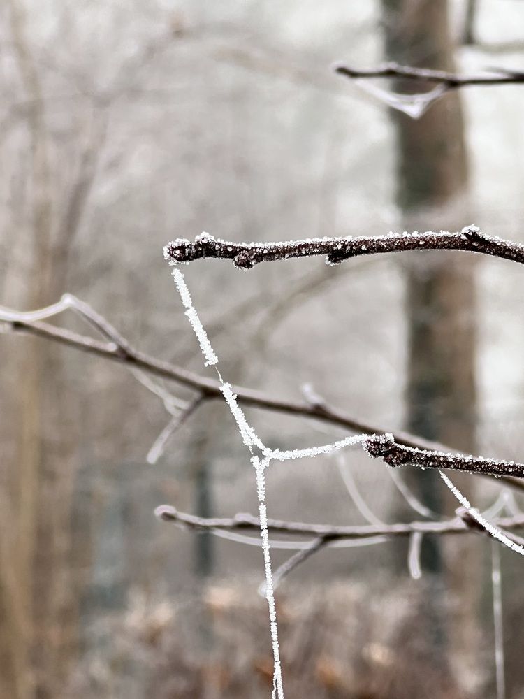 Photograph by Fatima Salimi