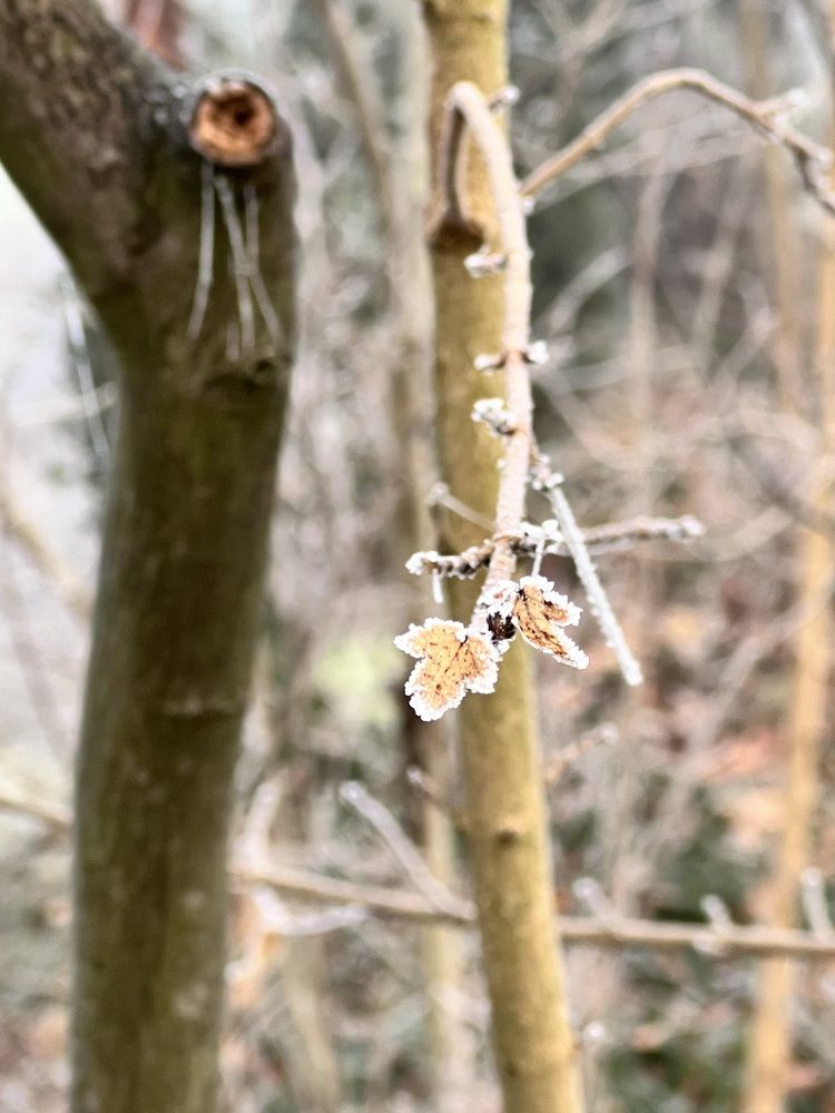 Photograph by Fatima Salimi