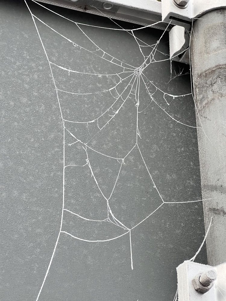 Photograph by Fatima Salimi