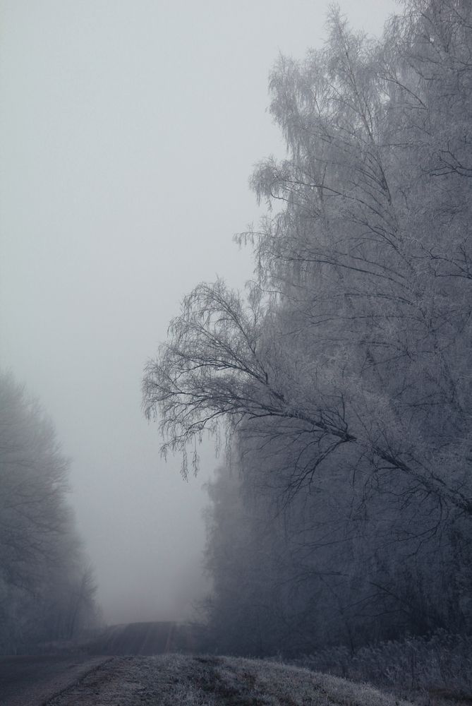 Туманная дорога