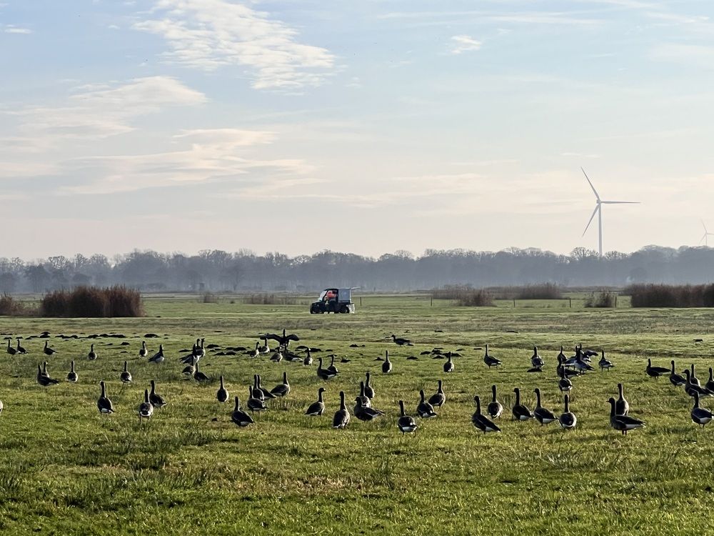 Photograph by Fatima Salimi