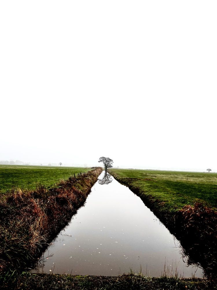 Photograph by Fatima Salimi