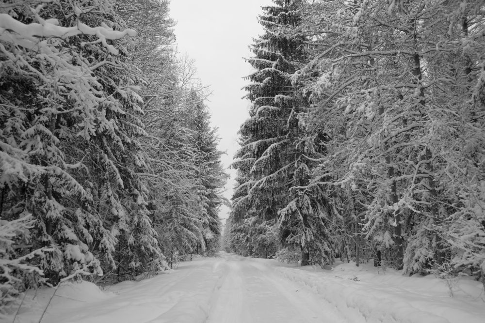 Photograph by Светлана Зайкова