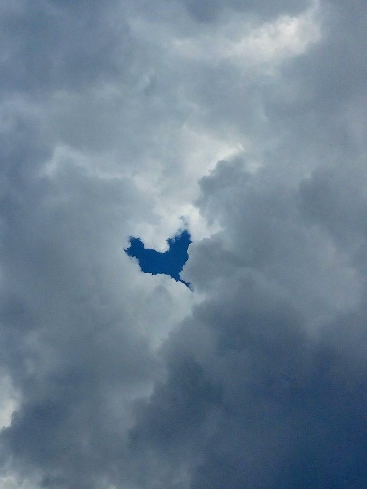 Фотография автора Татьяна Пальчикова