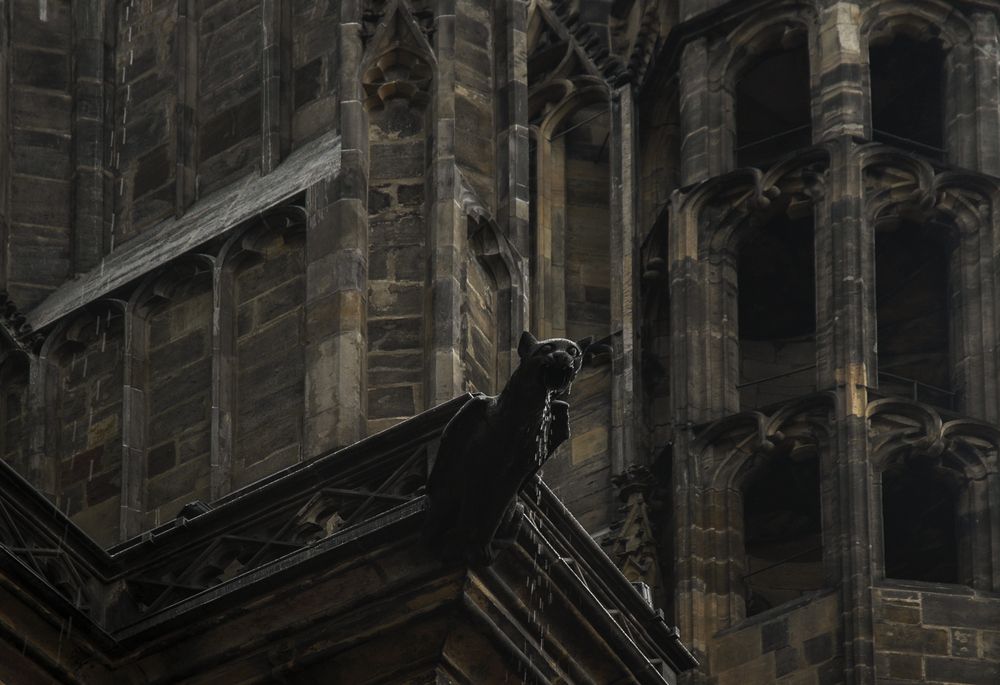 Photograph by Вера