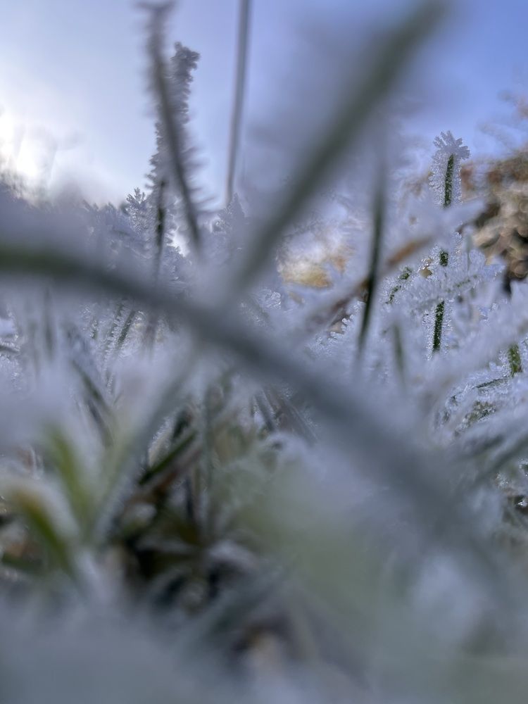 Photograph by Елена Лагойская