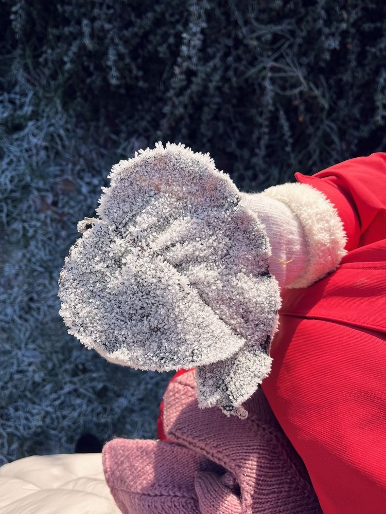 Photograph by Елена Лагойская