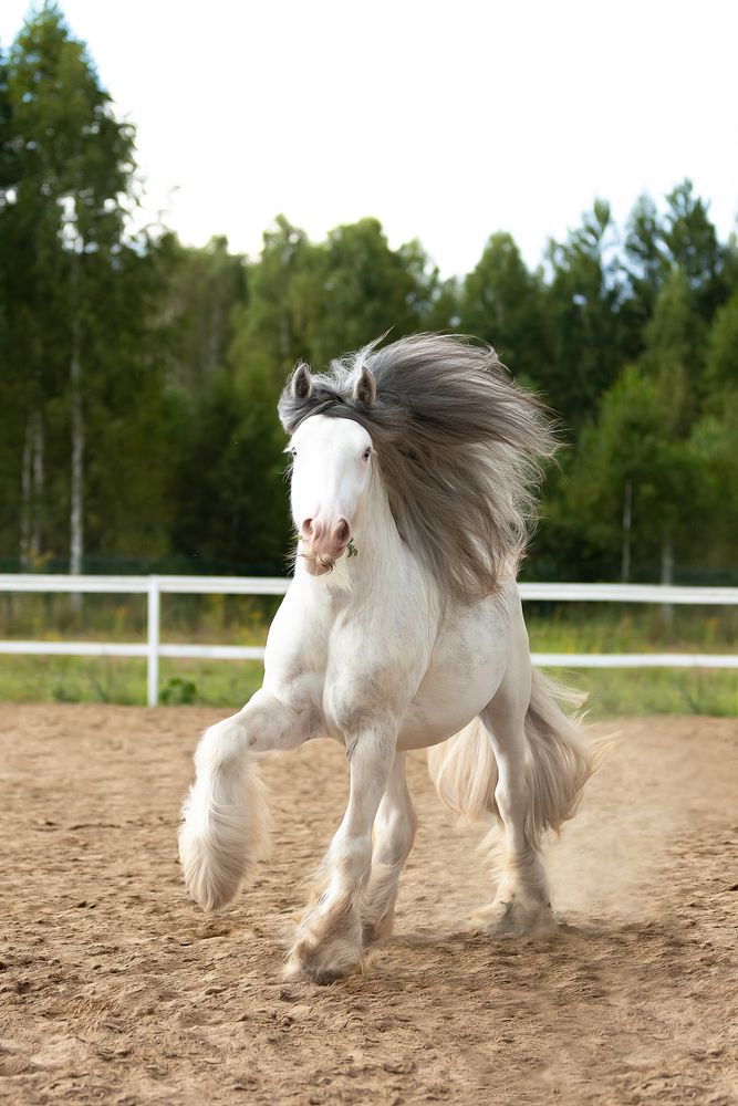 Photograph by Екатерина Сторожук