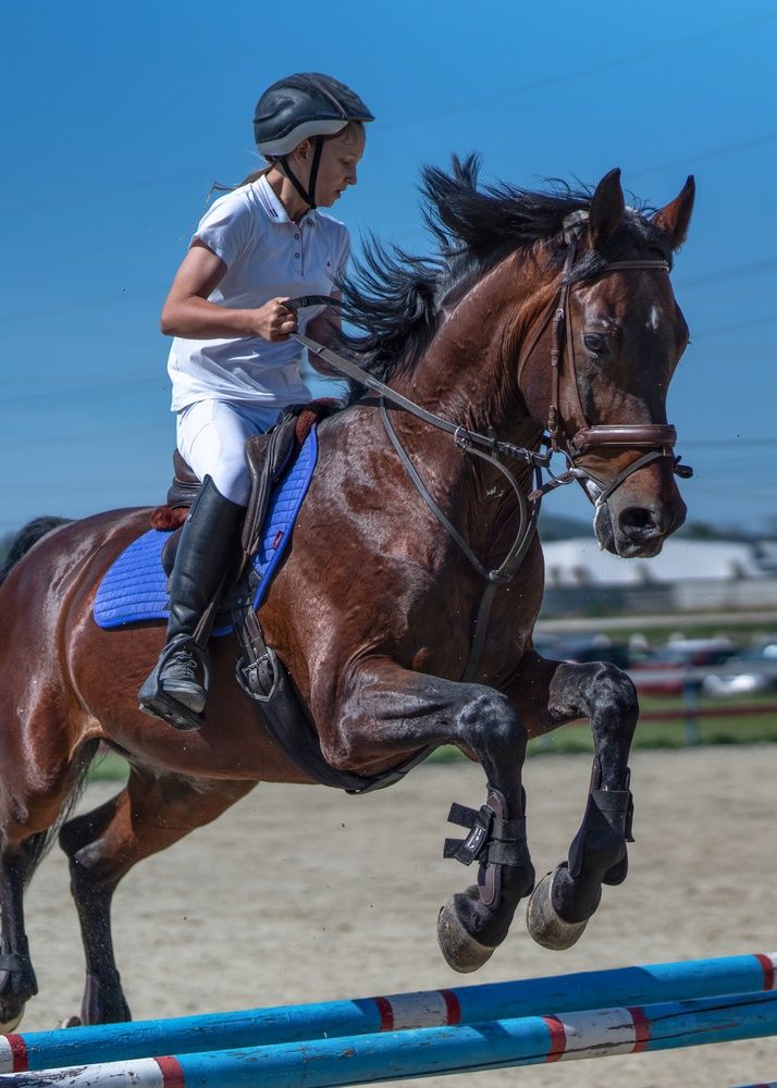 Photograph by Вероника Раевская