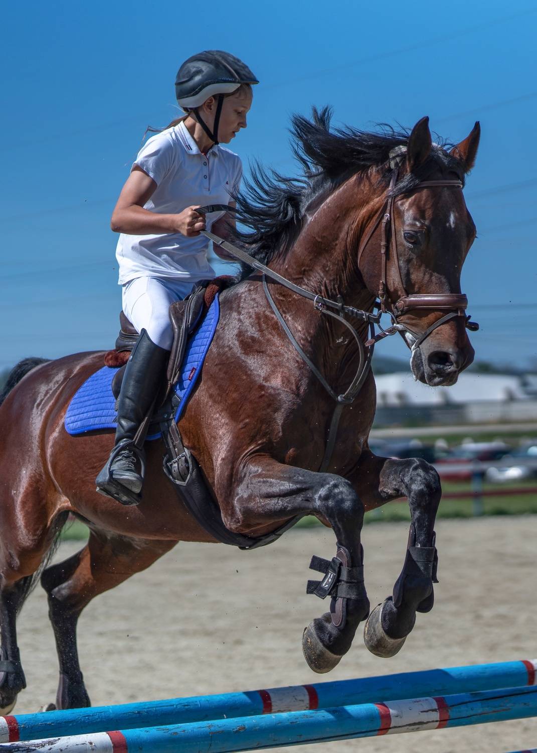 Фотография #13030169