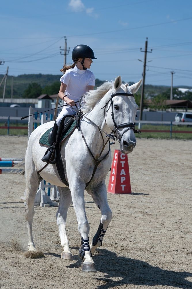 Photograph by Вероника Раевская